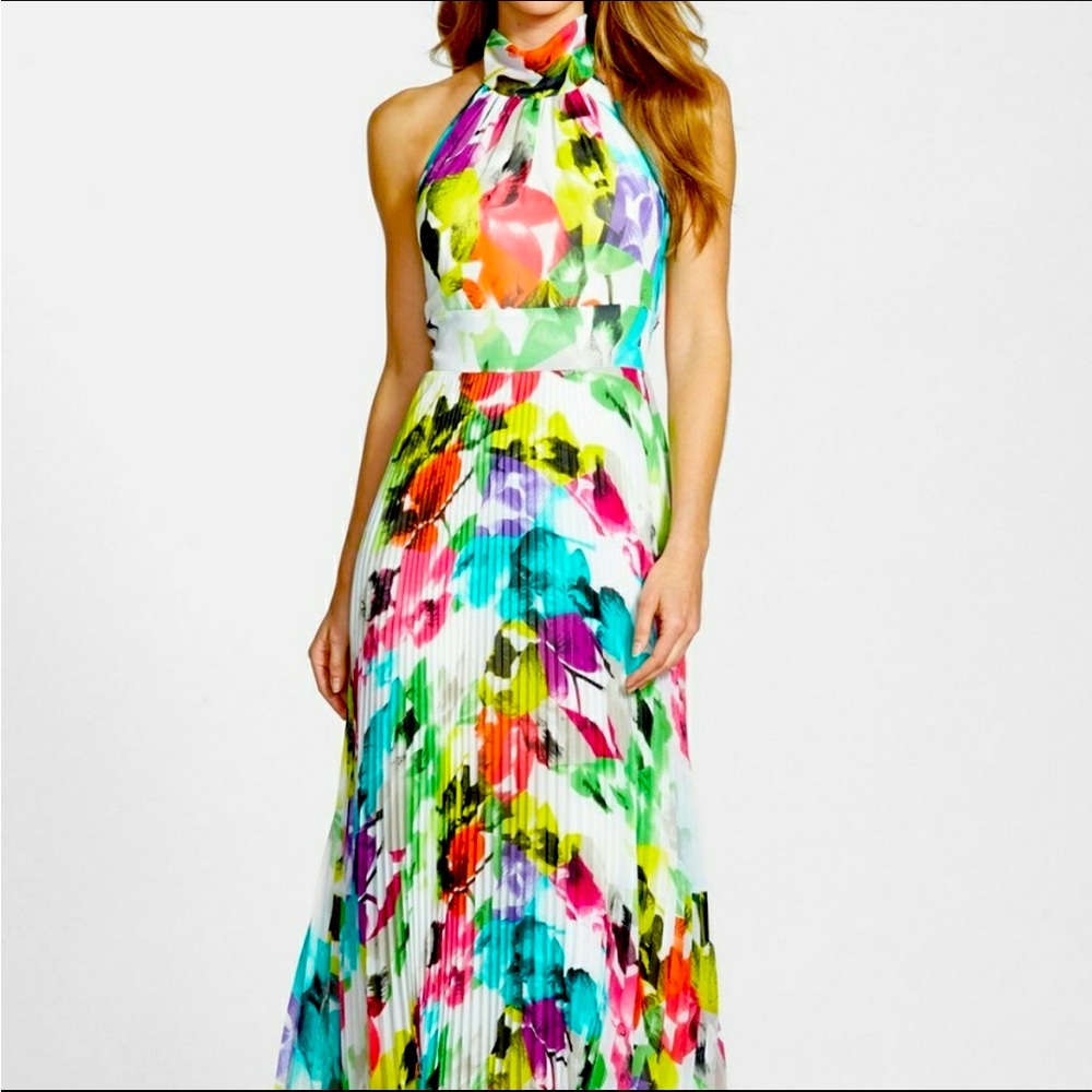 Aliza J•floral maxi Halter dress•open back•pleated